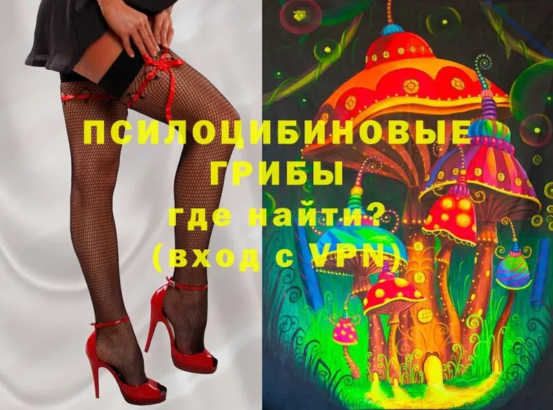 Галлюциногенные грибы Psilocybe  что такое   Асбест 